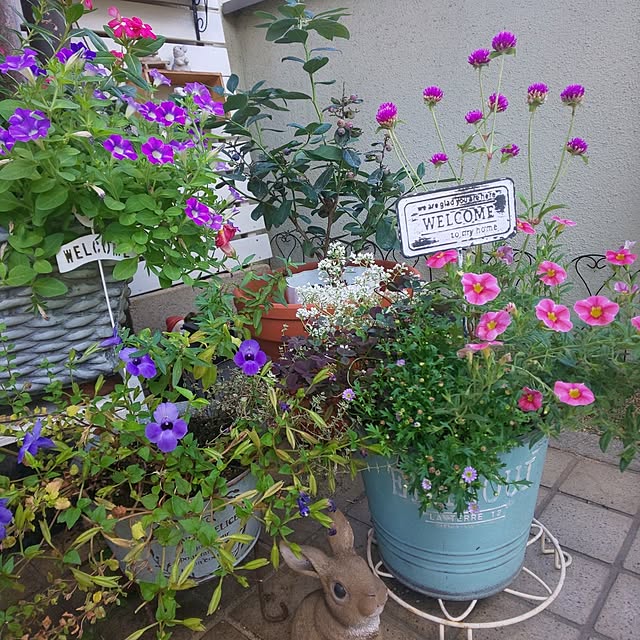seiko44さんの部屋