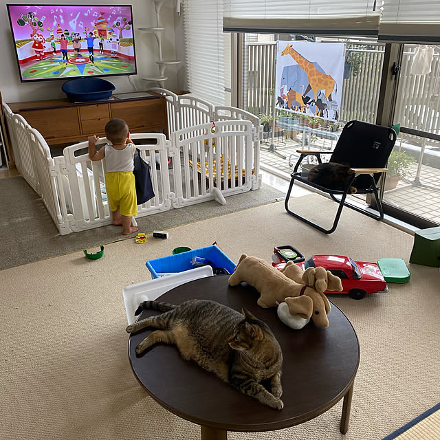mikomaruさんの実例写真
