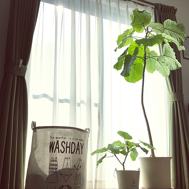 riaさんの実例写真