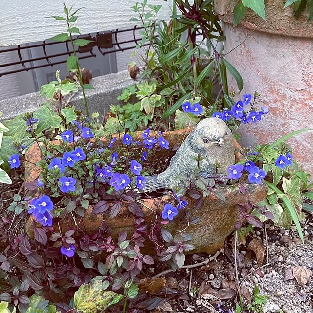min_nimさんの実例写真