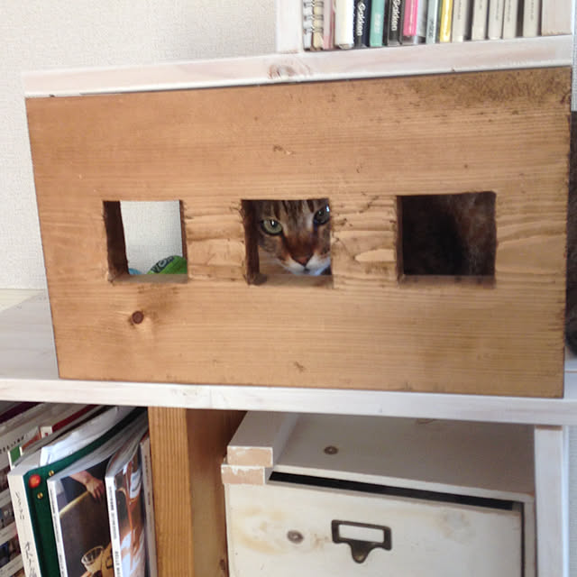 猫スペース/ナチュラル/ハンドメイド/DIY/リビングのインテリア実例 - 2020-04-12 21:51:11