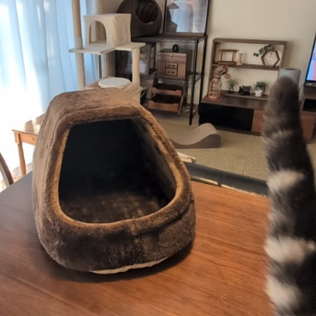 lovepeaceさんの部屋