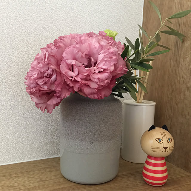 SHOKOさんの実例写真