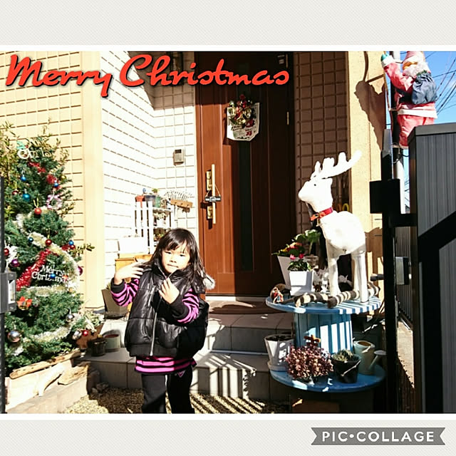 実例写真