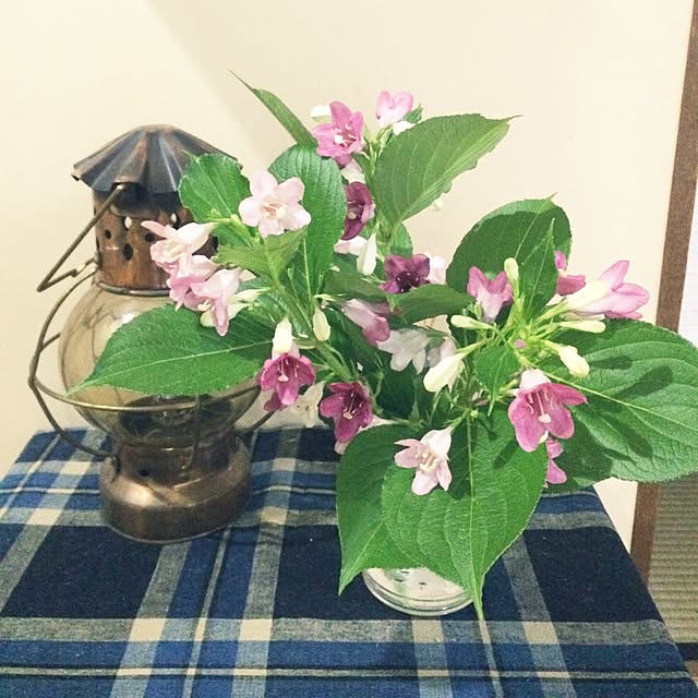 sawaさんの実例写真