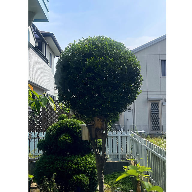 Ohigeさんのお部屋の写真