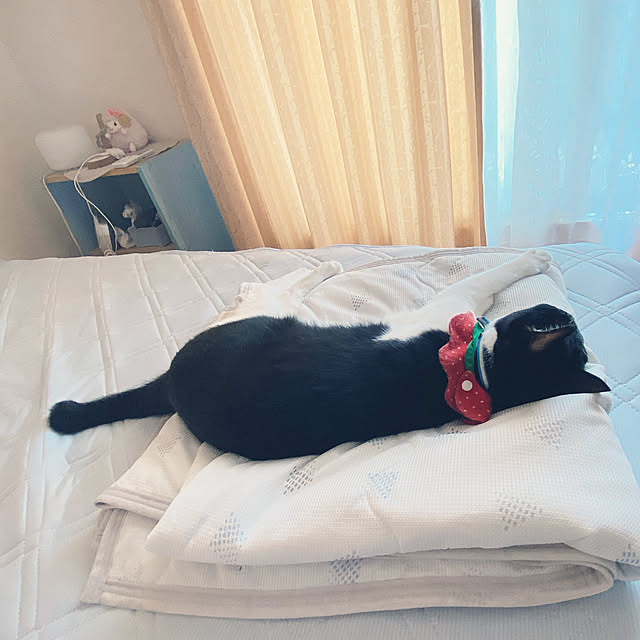moolさんの実例写真