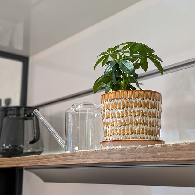 kumijiさんの部屋