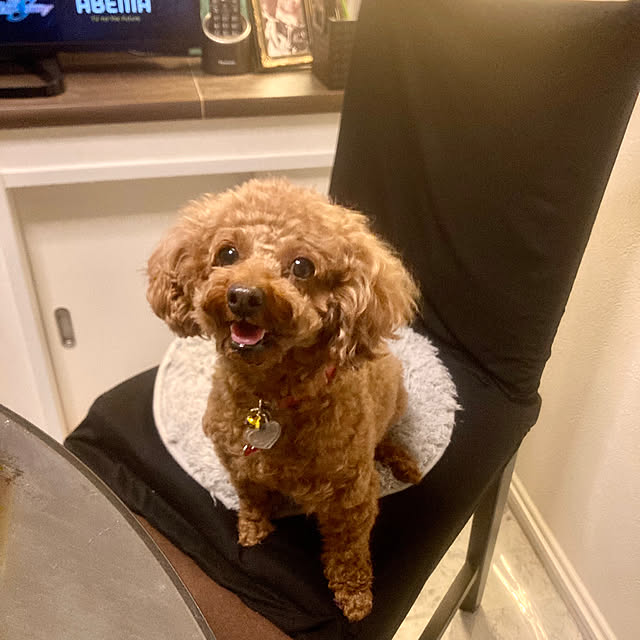 MOMOMAMAさんの部屋