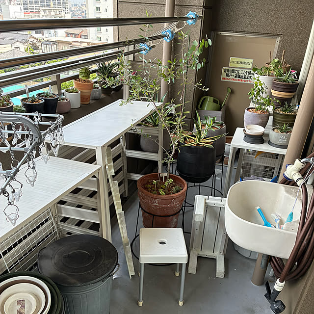 koshiregutyoさんの部屋