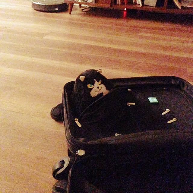 Chikaさんの実例写真