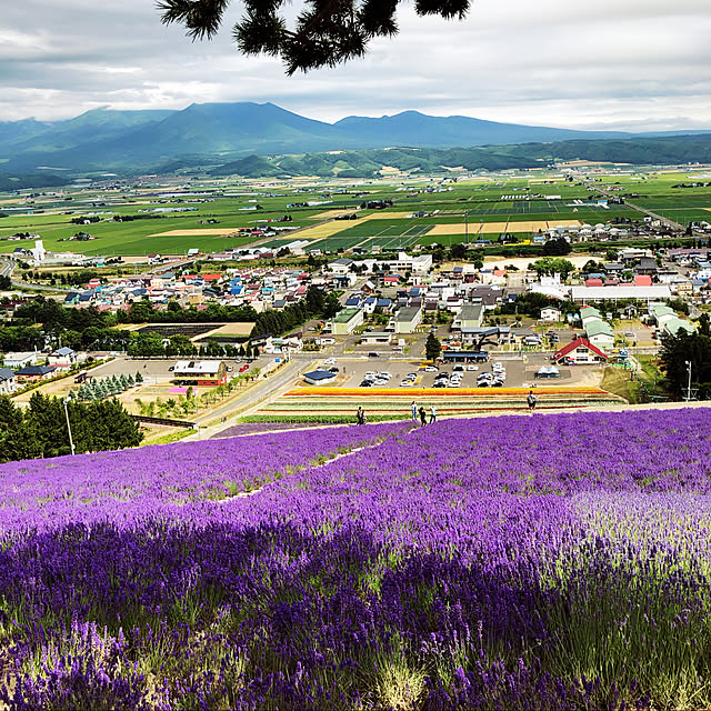 お家じゃなくてごめんなさい(_ _*)/殺処分ゼロの世界へ。/北海道ツーリング/バイク/壁/天井のインテリア実例 - 2019-07-27 09:04:20
