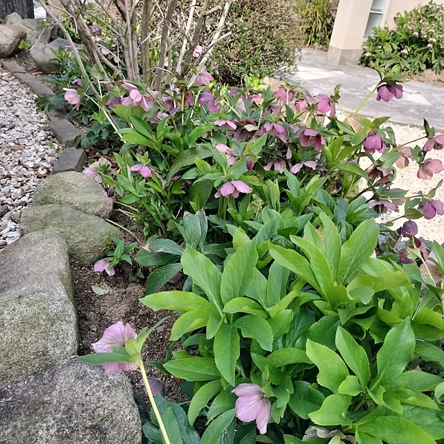 feuileさんの部屋