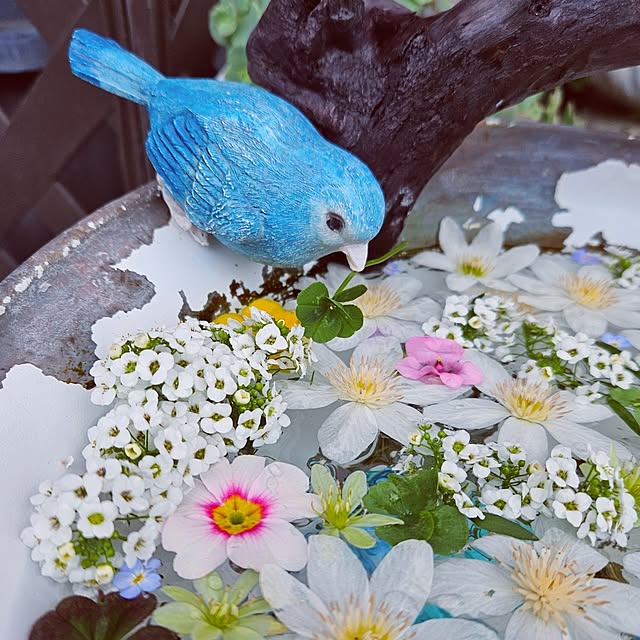 mocomocoさんの部屋