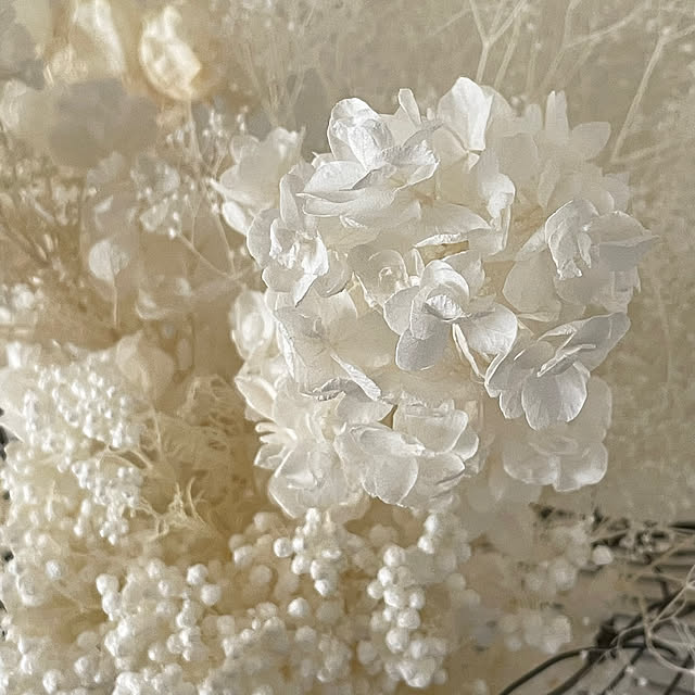 mamisazさんの部屋