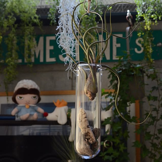 Hiroshiさんの実例写真