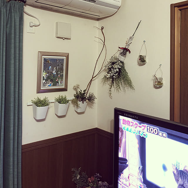 yukacchiさんの実例写真