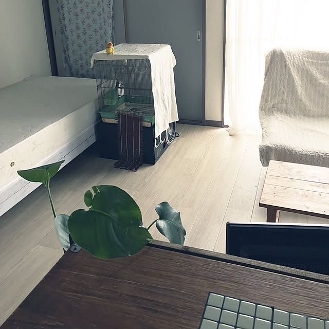 keinagen91さんの実例写真