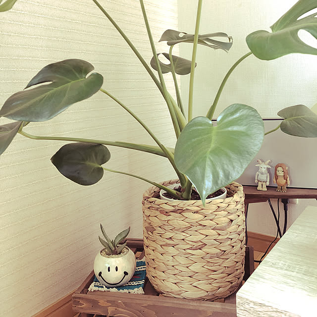 tasoさんの実例写真