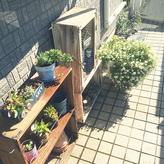 suzukoさんの実例写真