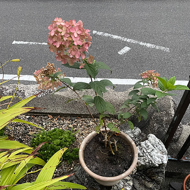 shin0719さんの部屋