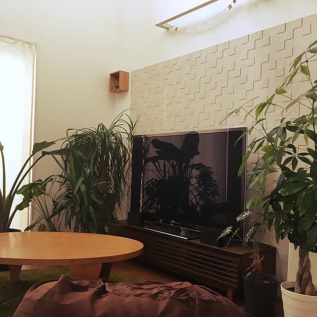 観葉植物/ニトリ/照明/リビングのインテリア実例 - 2019-12-15 08:00:56