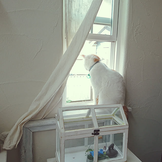 kiyosukeさんの実例写真