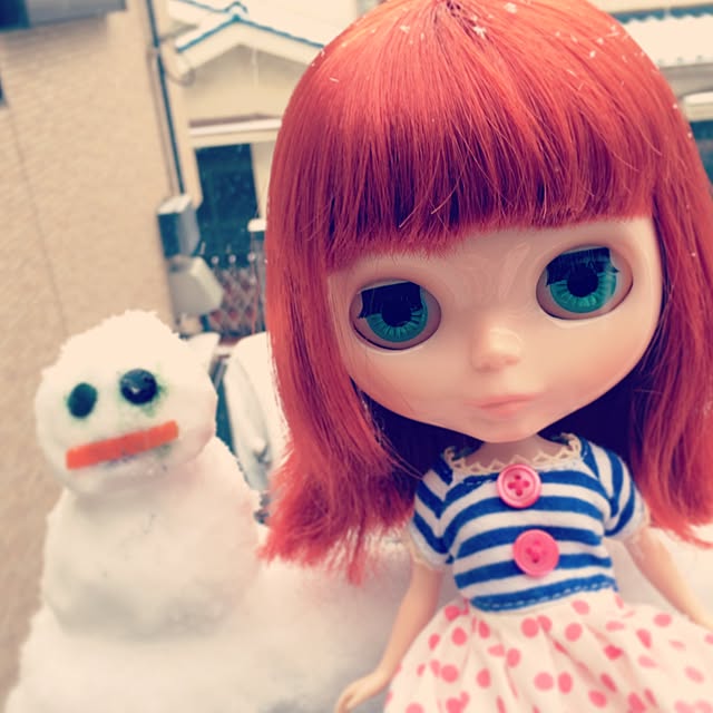 実例写真