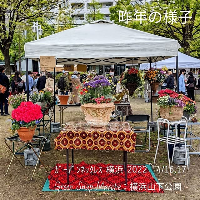 ElegantiqueFlowerさんの部屋