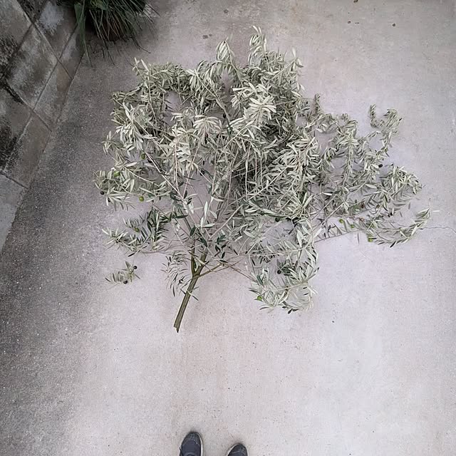 mori_6_12さんの実例写真