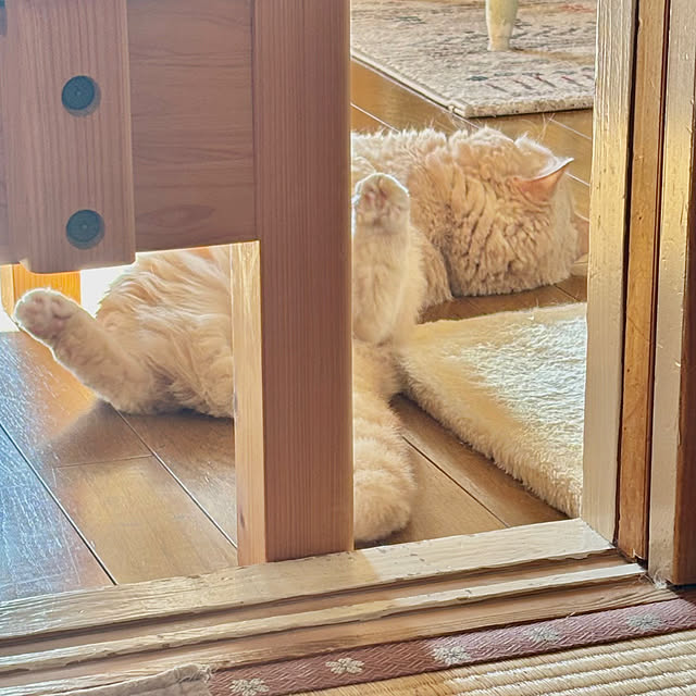 naokoさんの実例写真