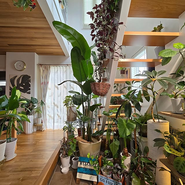 nonbiri_house_さんの部屋