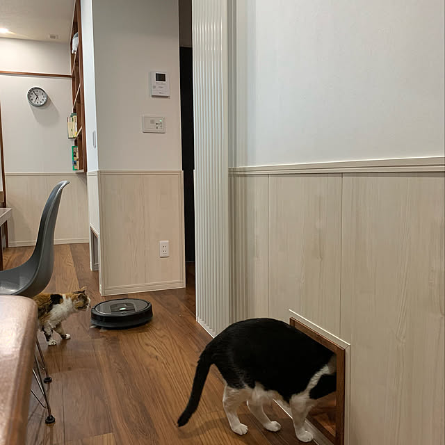 mikeume7さんの実例写真