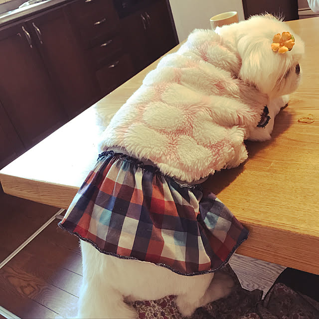 marimoさんの実例写真
