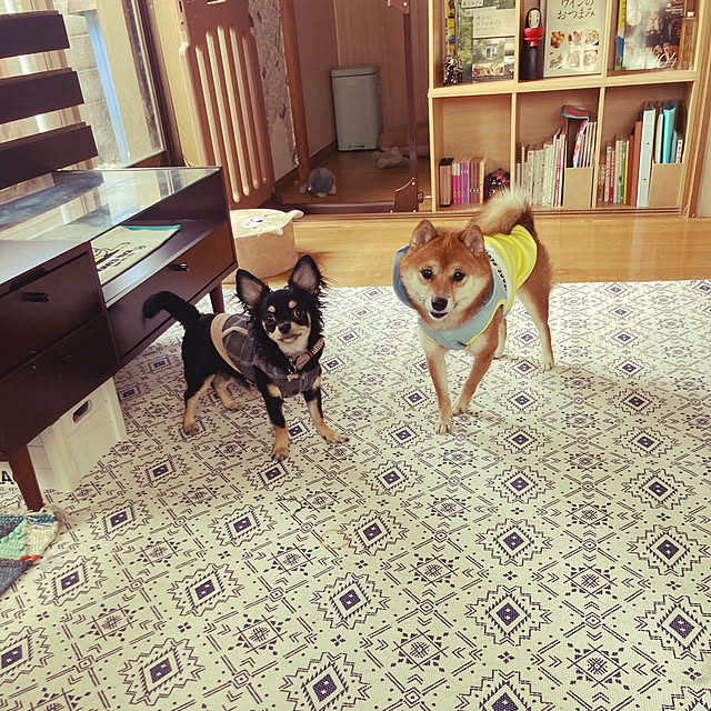 ponsukeさんの実例写真