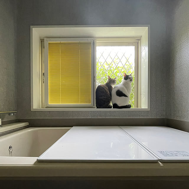 nobikoさんの部屋