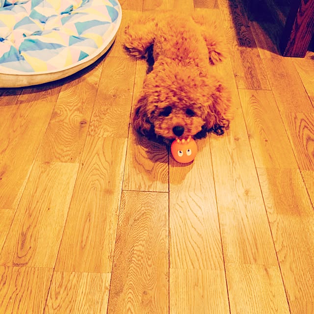 nicoさんの実例写真