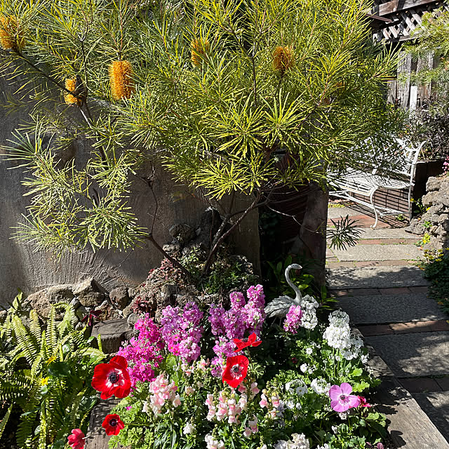 Andaluciaさんの部屋