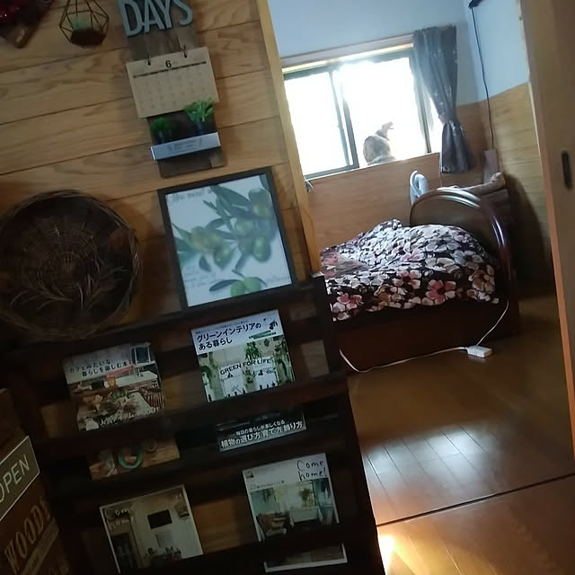 ベッド周り/過ごしやすい時間/窓辺の猫/茶色好き＊/猫との暮らし...などのインテリア実例 - 2021-06-07 17:54:28