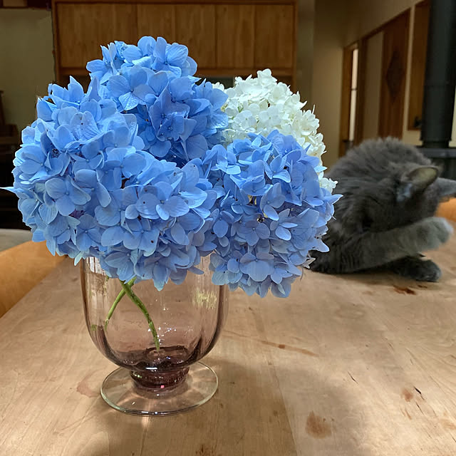 Kikko.さんの実例写真
