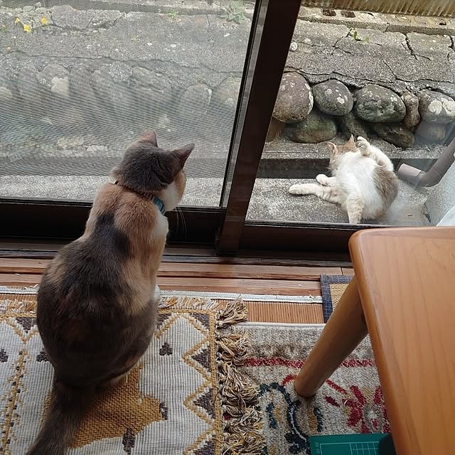 fukuさんの実例写真