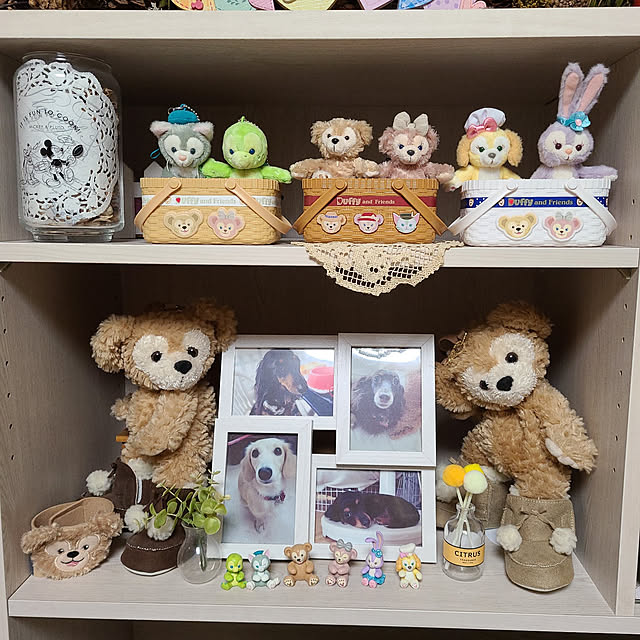 Luckyさんの実例写真