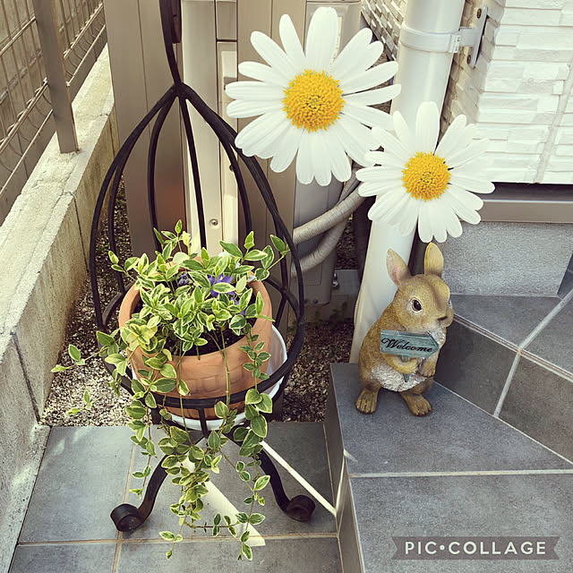 mimi.mocchiさんの実例写真