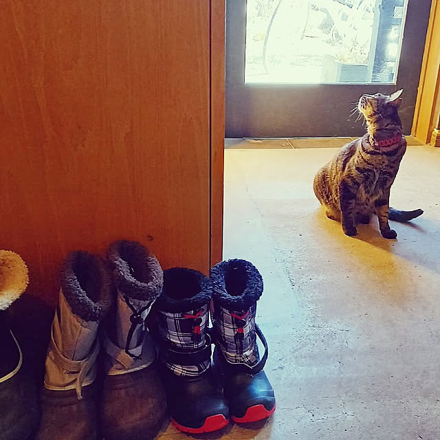 momo.smzさんの実例写真