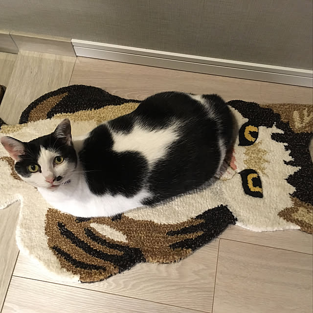 hanaさんの実例写真