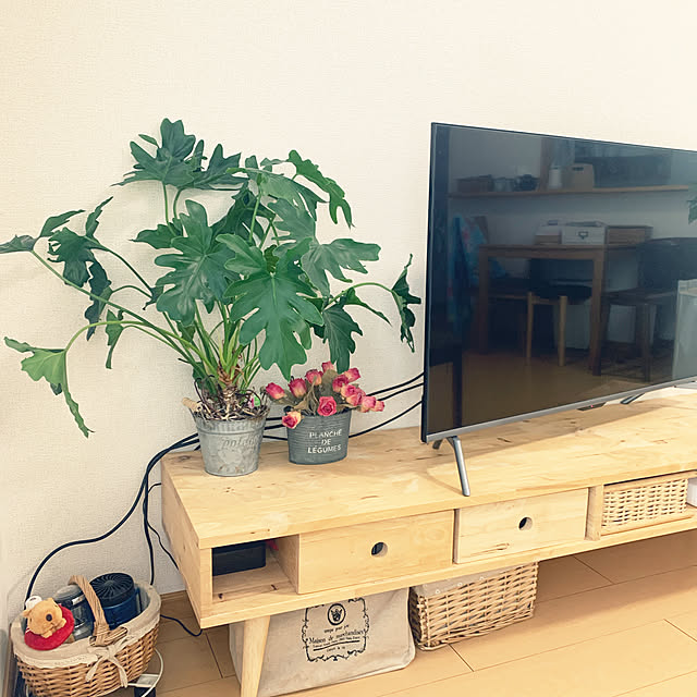 観葉植物 テレビ台のおすすめ商品とおしゃれな実例 | RoomClip 観葉植物 テレビ台のおすすめ商品とおしゃれな実例 | RoomClip