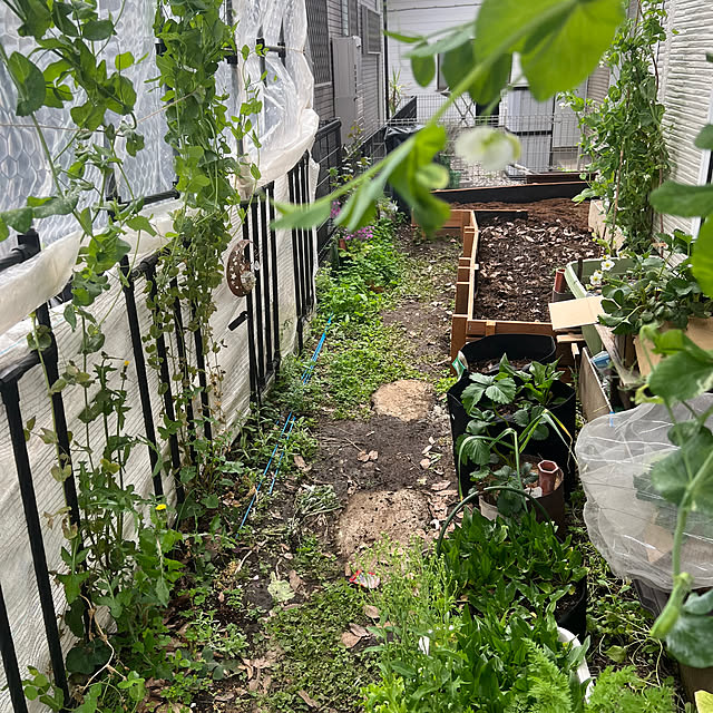 SquarePantsさんの部屋