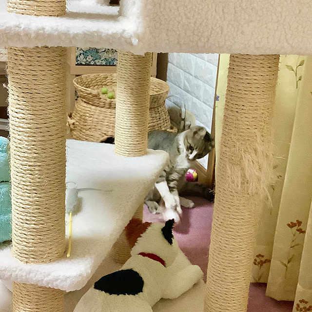 haruminさんの部屋