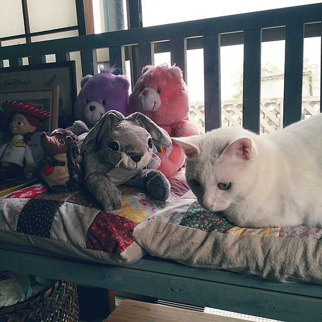 amifuuさんの実例写真