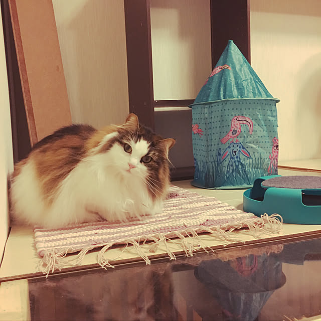 uraraさんの実例写真